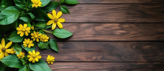 Poster - Yellow flowers and green leaves on wooden background with space for text Copy Space
