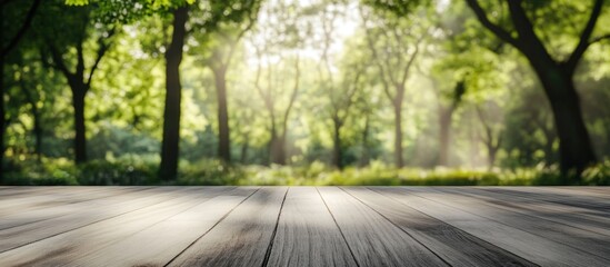 Poster - Wooden floor with blurred lush green forest background and soft sunlight filtering through trees creating a tranquil setting Copy Space