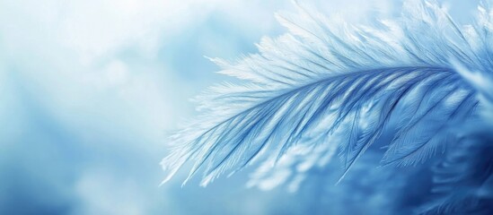 Poster - Blue frost-covered fern leaf on a light blue blurred background with Copy Space for text placement