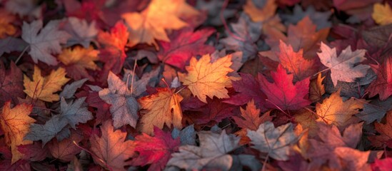 Aufkleber - Colorful autumn leaves covering the ground in various shades of red orange and yellow natural texture background Copy Space