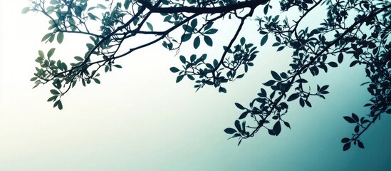 Poster - Branches with green leaves against a gradient background for nature-themed designs and copy space for text placement