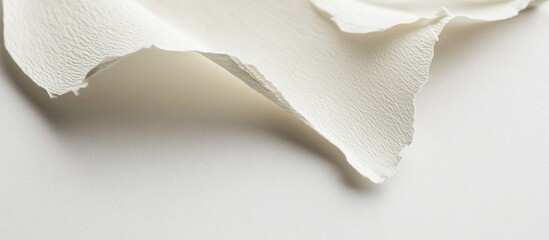 Poster - Textured torn piece of white paper on smooth light background with ample copy space for text placement