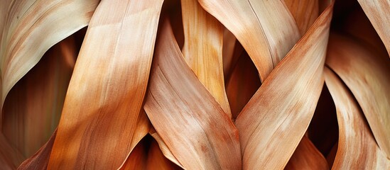 Poster - Abstract close-up of overlapping textured leaves in shades of brown and beige with intricate patterns and lines suitable for backgrounds. Copy Space