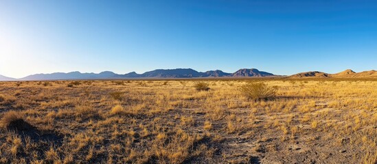 Poster - Panoramic view of arid landscape with dry grass and distant mountains under clear blue sky and sunlight Copy Space