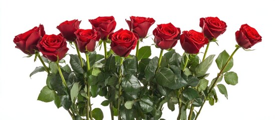 Aufkleber - Bouquet of twelve fresh red roses with green leaves isolated on white background Copy Space