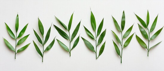 Aufkleber - Arrangement of green leaves on a light background with copy space for text placement
