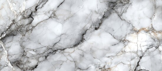 Poster - Gray and white marble texture background with veining patterns ideal for use in various design applications Copy Space