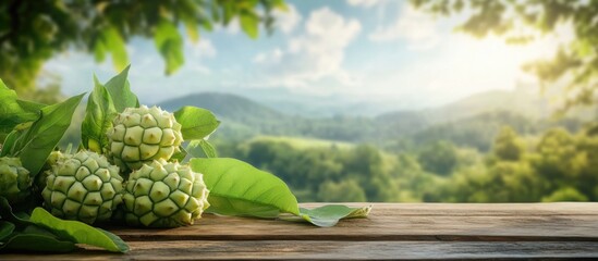 Poster - Fresh green fruit on wooden table with soft focus landscape background and sunlight in the evening Copy Space