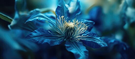 Poster - Blue Flower with Detailed Petals and Stamen in Soft Focus Background Copy Space