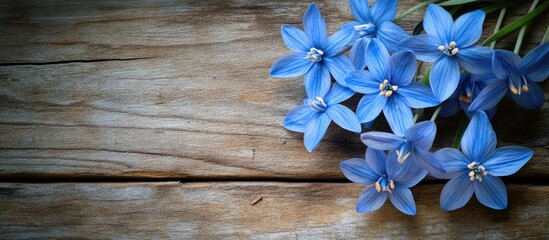 Aufkleber - Blue flowers on rustic wooden background with natural lighting and copy space for text.