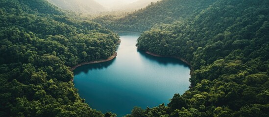 Poster - Aerial view of a tranquil forest surrounded lake with lush greenery and hills in the background during golden hour Copy Space