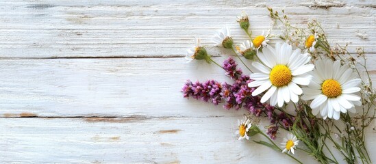 Fototapete - Fresh wildflowers arranged on rustic white wooden background with copy space for text