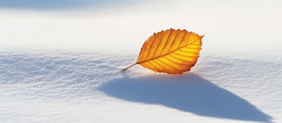 Poster - Single vibrant orange leaf on pristine white snow with soft shadows under natural light showcasing seasonal contrast and textures. Copy Space