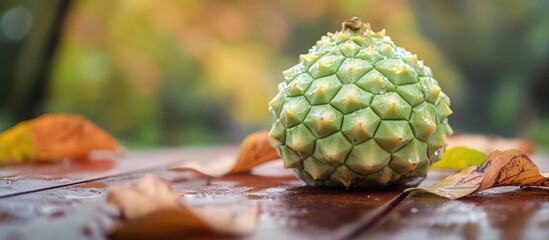 Poster - Green fruit with textured surface resting on wooden table surrounded by autumn leaves, blurred background. Copy Space