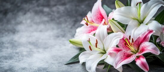 Poster - Bouquet of white and pink lilies on a textured gray background with soft lighting and ample Copy Space for text insertion