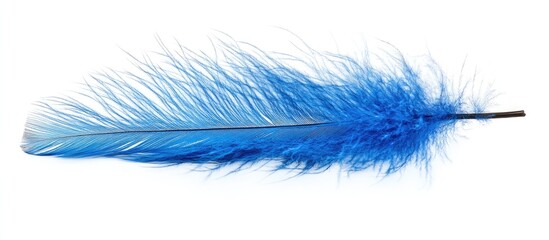 Aufkleber - Blue feather with soft, fluffy texture on white background Copy Space