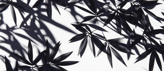 Poster - black bamboo leaves shadows on white background with copy space for text