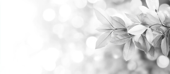 Aufkleber - Branch of delicate leaves on a blurred bokeh background in grayscale with ample copy space for text placement