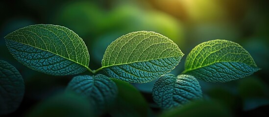 Aufkleber - Close-up view of green leaves with intricate texture details illuminated by soft light Copy Space