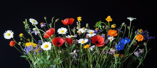 Fototapete - Mixed wildflower arrangement with vibrant blooms including daisies, poppies, and other colorful flowers against a black background with Copy Space