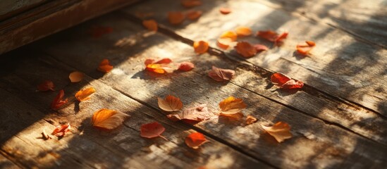 Aufkleber - Autumn leaves scattered on wooden floor with warm sunlight creating shadows and textures, Copy Space available for text placement