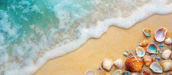 Aufkleber - Seashells on sandy beach with turquoise water and gentle waves creating a tranquil coastal scene Copy Space