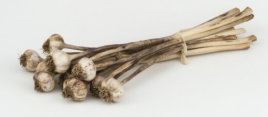 Aufkleber - Bunch of fresh garlic bulbs tied together on a plain background with focus on roots and stalks Copy Space