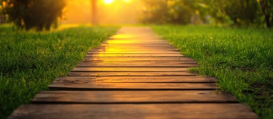 Poster - wooden pathway leading through green grass illuminated by warm sunset light with blurred trees in ba