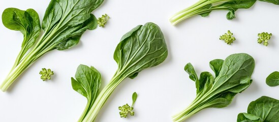 Aufkleber - Fresh green spinach leaves arranged on a white background with small buds, ideal for culinary and health-related graphics, Copy Space