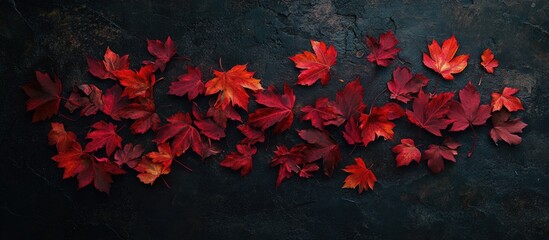 Poster - Colorful autumn leaves scattered on dark textured background with ample Copy Space for text placement