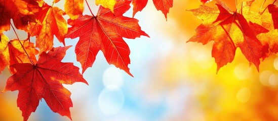 Aufkleber - Autumn maple leaves with vibrant red and orange hues against a blurred bokeh background ideal for seasonal themes and Copy Space