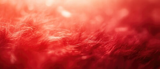 Poster - Red textured background with soft fibers and warm lighting for abstract design or artistic use Copy Space
