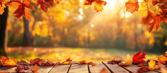 Poster - autumn leaves framing a wooden surface with blurred park background and warm sunlight filtering thro