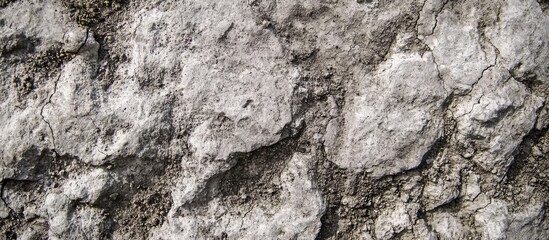 Poster - gray cracked soil texture background with rough surface patterns suitable for design purposes copy s