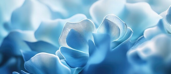 Poster - Close-up detailed view of blue flower petals with soft texture and gentle lighting suitable for backgrounds and design with Copy Space