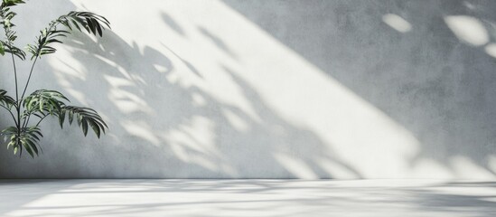 Poster - modern interior with concrete wall and potted plant casting shadows on the floor featuring ample cop