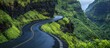 © GenZGraphics - Winding road through lush green mountains with cloudy sky and wet asphalt Copy Space