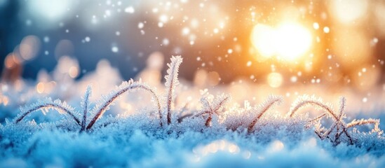 Sticker - Frosty grass in winter morning light with sunlight glow and snowflakes in the background Copy Space