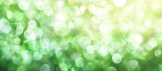 Poster - Green bokeh background with soft circular light spots and a warm glow, suitable for various design projects, Copy Space