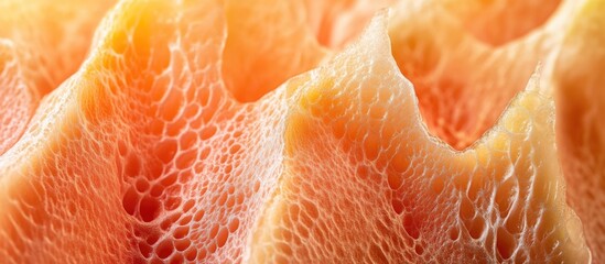 Poster - close-up of textured watermelon rind displaying intricate patterns and soft gradients of orange and 