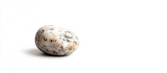 Poster - single smooth river stone with a speckled surface against a white background featuring ample copy sp