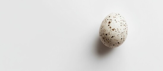 Poster - single speckled egg on white background with ample copy space for text placement