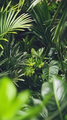 Poster - Sunlight filters through thick jungle foliage, highlighting a diverse array of leaves and plants. Vivid greens create a tranquil atmosphere in this thriving ecosystem, inviting exploration