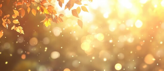 Wall Mural - Autumn leaves with sunlight and bokeh effect creating a warm glow background with copy space for text placement