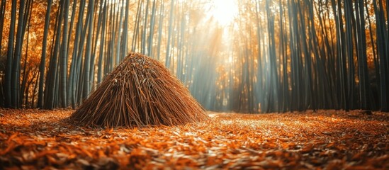 Wall Mural - Straw stack in a warm autumn forest with sunlight filtering through trees creating a tranquil atmosphere and abundant fallen leaves, Copy Space