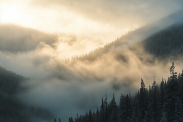 Poster - A foggy mountain pass with warm morning light filtering through the mist