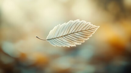Poster - Floating leaf captures the essence of autumn in a serene forest setting during golden hour. Generative AI