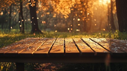 Poster - A wooden podium sits on a grassy area, surrounded by trees adorned with blossoms. Sunlight streams through the branches, creating a warm glow. Petals gently fall, enhancing the serene atmosphere.