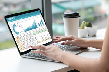 Poster - spreadsheet document information financial startup concept. data and graphs in spreadsheet documents