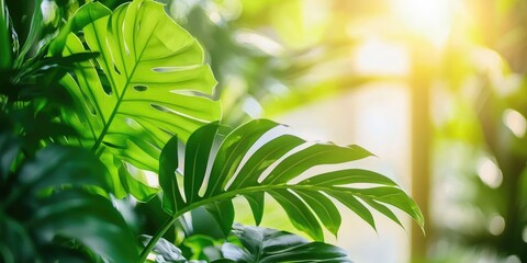 Leinwandbilder - a modern solar panel with lush green plants in the foreground, symbolizing sustainability and technology, neutral background